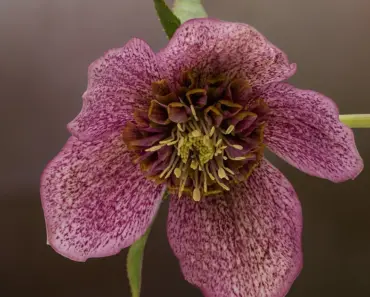 Billy Porter’s Met Gala Exile: 5 Reasons Why He’s Been Snubbed Since 2019