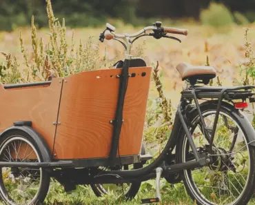 Green Living Tips for a More Sustainable Lifestyle