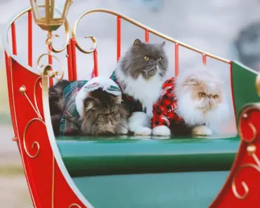 7 Cool Spring Outfit Ideas You Must Wear This Season