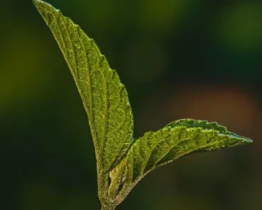 7 Simple Steps to Identify Your Hair Type and Build a Customized Routine