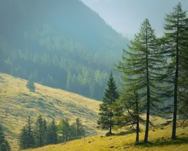 Explore Our Complete Guide To Growing Vegetables