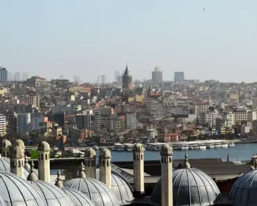 Ceci Kane Can’t Believe How Wild The Mom Groups Get, Either