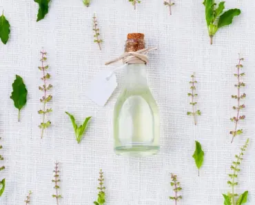 7 Essential Lessons from Courtney Smith’s Second Life Podcast