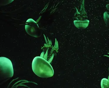 7 Life-Changing Signs the Universe is Guiding You in the Right Direction