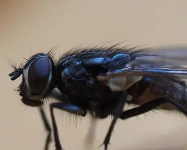 11 Must-Have Glossy Lip Balms That Deliver Stunning Colour and Hydrating Shine