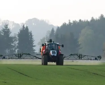 3 DIY Weed Killers I Tried That Actually Work