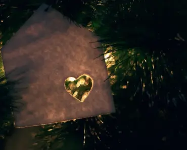 “5 Reasons Fabric Grow Bags Outshine Traditional Containers for Potted Tomatoes”