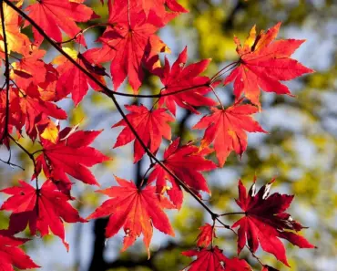 7 Fall 2026 Trends I Found for Under $300-You’re Welcome