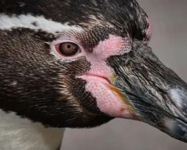 13 Shocking Characteristics of Highly Toxic Parents That Can Wreck a Child’s Life Forever