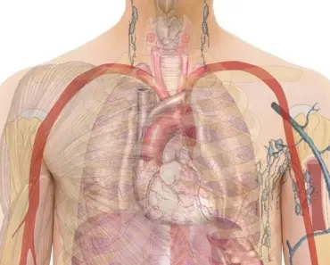 Have I Taken Body Positivity Too Far With My Kids? 7 Signs