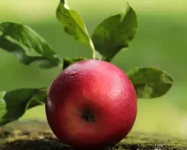 13 Red Flags Indicating We’re Over-Sexualizing Olivia Rodrigo’s Style