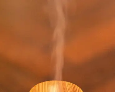 7 Essential Things Your Swiss Cheese Plant Needs in April for Lush Growth and Thriving…