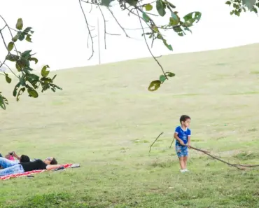 Free Printable Thank You Tags for Wine, Flowers & Hostess Gifts