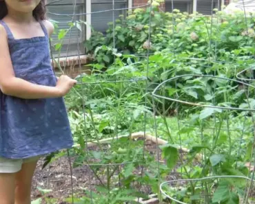 Ideas For Kids Gardening Activities