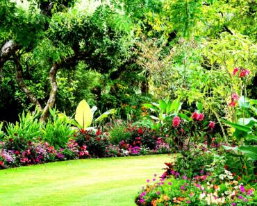 Gardens Insurance: Comprehensive Coverage for Your Garden Center