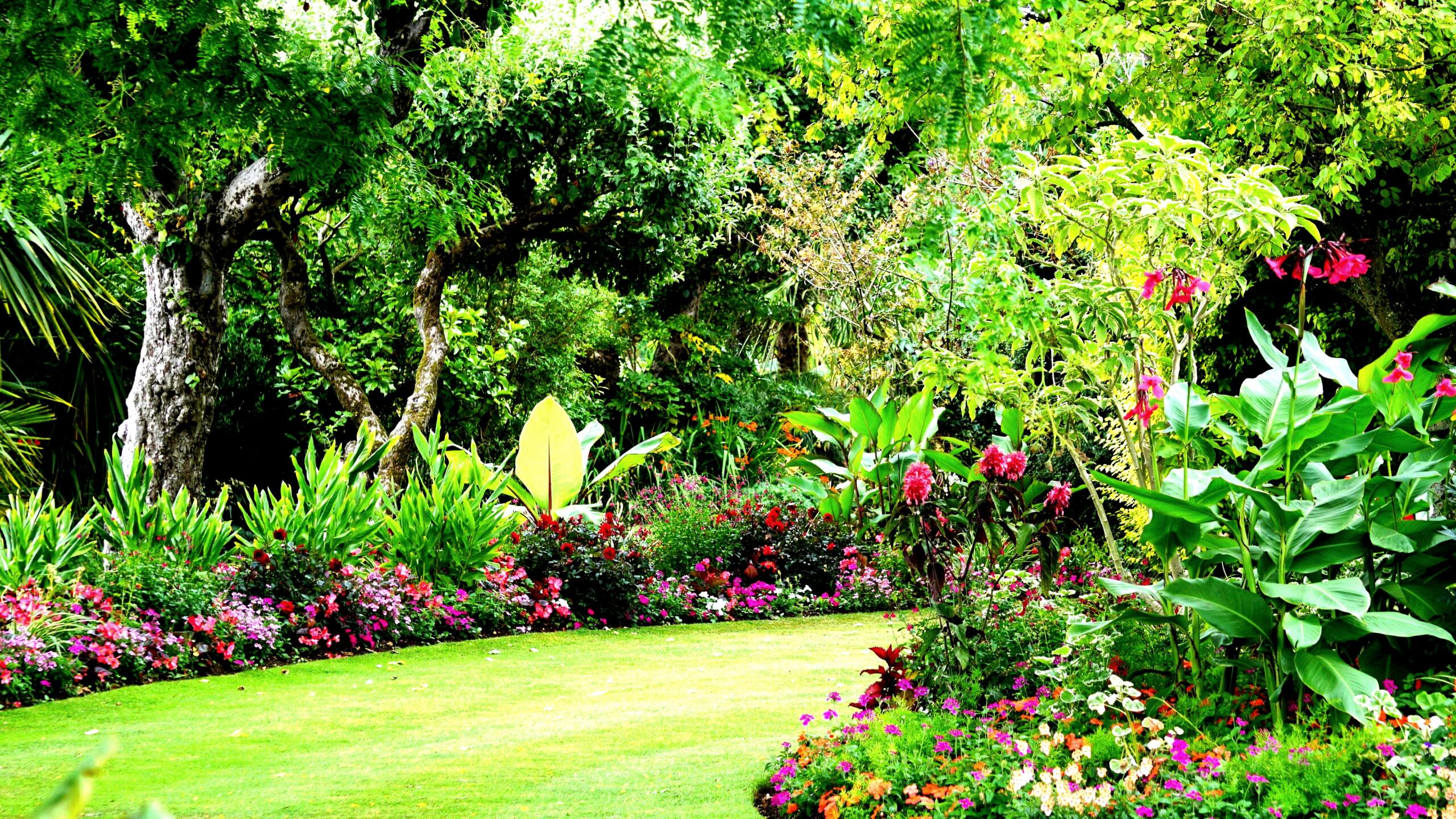 Gardens Insurance: Comprehensive Coverage for Your Garden Center Gardens insurance guide from Hortica for garden center protection
