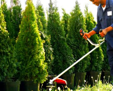 Best Insurance for Landscape Gardeners: Compare Top Providers for Your
