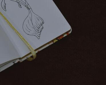 How to Draw a Fish: A Beginner’s Step-by-Step Guide