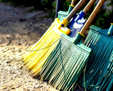 When to Do Your Spring Garden Cleaning: Protect Pollinators