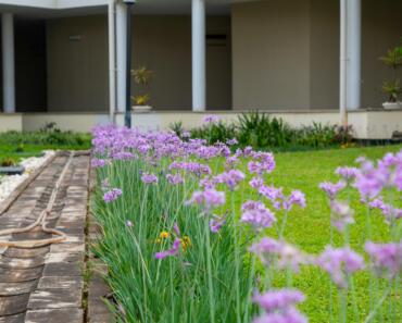 Your Guide to Parkway Gardens: Assisted Living & Memory Care in IL