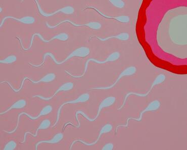 Freeze Sperm at Home: Comparing Legacy, FCC Kits vs Clinic Banking