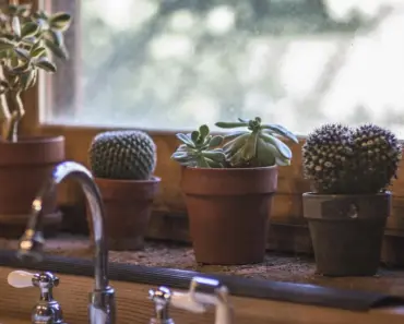 13 Kitchen Sinks You’ll Crave to Install Now!