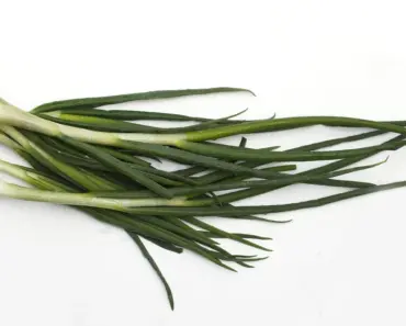 8 Best Vegetables to Plant in May (Easy Summer Crops)