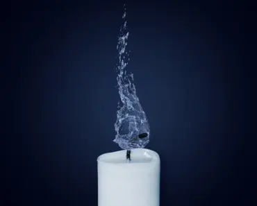 The 7 Secrets of Water Wick Plant Propagation Science