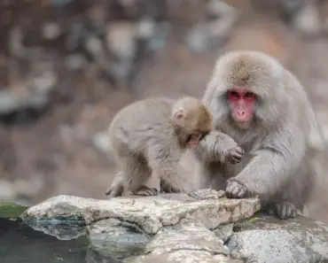 99 Beautiful Japanese Baby Names: Meanings & Origins