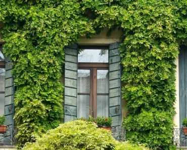 Surprising Home Exterior Value Killers