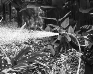 The 9 Best Garden Sprayers The Spruce Tested