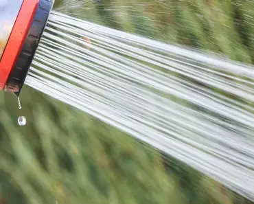 7 Best Rain Shower Heads: Spruce Tested & Approved!