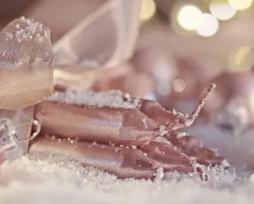 7 Holiday Decor Items Your Pet Secretly Hates