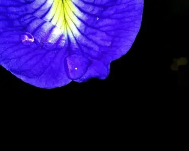 13 Best Night Lights: Tested & Reviewed