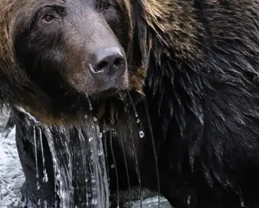 Breaking Down The Bear’s Surprise Episode Ending