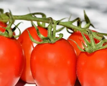 5 Effective Natural Solutions for Aphids on Tomatoes
