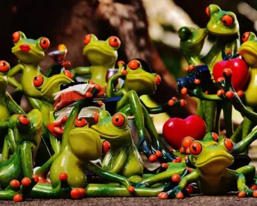 5 Steps to Manage Harmful Family Relationships and Let Go