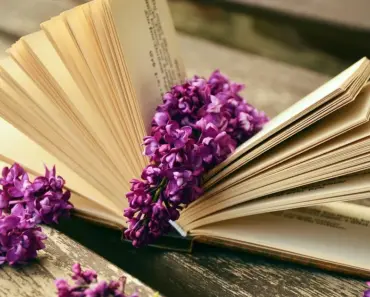 7 Creative Ways to Reuse Old Books