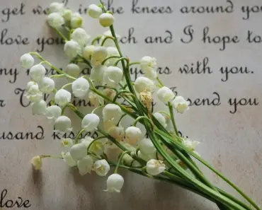 9 Best-Smelling Lily of the Valley Perfumes
