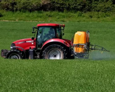 7 Best Insecticides for a Pest-Free Home
