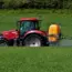 7 Best Insecticides for a Pest-Free Home