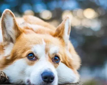 7 Unexpected Friends That Will Transform Your Life