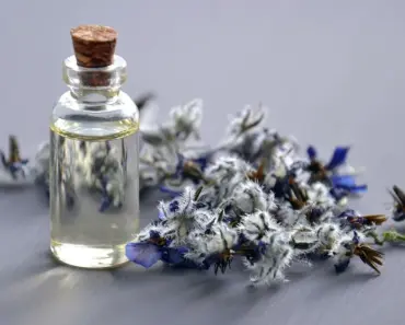 13 Best Essential Oil Brands You’ll Love