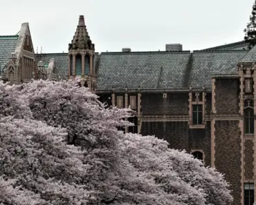 Everything We Know About Off Campus Season 2