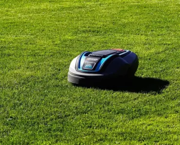 7 Best Electric Lawn Mowers Tested