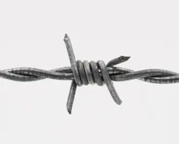 Wire Grill Brushes Could Put Your Health at Risk: 5 Signs