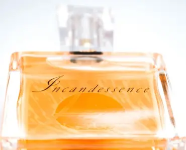 5 Editor-Tested Perfumes You Need Now