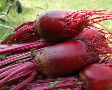 7 Crops You Should Cover Before Frost Hits!