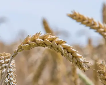 7 Times to Water New Grass Seed for Fall Success