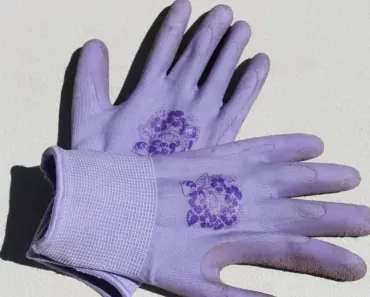 7 Best Gardening Gloves for Every Task in 2026